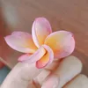 hogdao_23