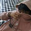_rajndraa