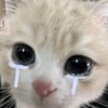 latifa_fre_