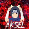 aksel.co2