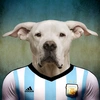 dogmessi_goaaaaat