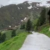 zischfrischananas