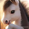 suri27191