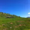 taniakurdi1