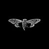 cicada_13