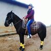 itzelalvarezgonza