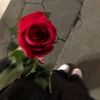 elafofaa5