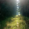 kim_147w88