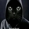 окак 2007