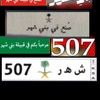 thamar507