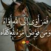 usercobtbtrn29