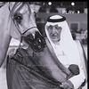 aa_qan