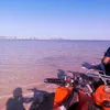 w.llm10