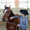 grandcanyonhorse