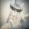 pekevillalba25