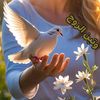 user3606843461021