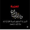 zoozoo_gamal