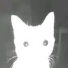 soneonsh