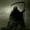 www.tiktom.olshopraffabi