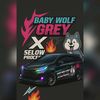 Baby Wolf Grey