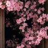 siham0065