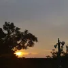 lenamardiana12