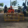 fardiyan.official1
