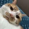 o_o.uoi
