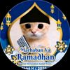 kucing_ramadhan14