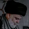 sjd__515