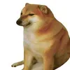 thichuongcocacolado