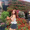 balame_10
