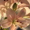 moonflower_jsc