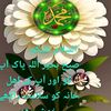 umar8044545