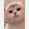 userghegyc9w7m