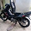 tamaagacor4