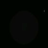 doaameghed105