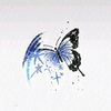 _sekar435