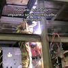 tungguaku1akupastikesana