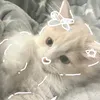 shin_isa