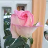 giada.com3