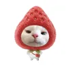 beiu_11205