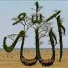 adlanadlan3605