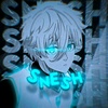 mr_snesh