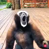 useryhmylyqzoa