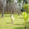 nguyenvule92
