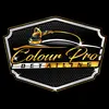 colourprodetailing