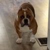 massi_2622