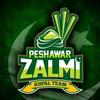 zalmi____lover