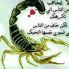 user6216860887313